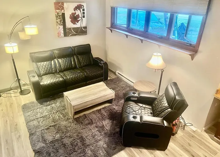 Beautifully Furnished One Bedroom Loft Located In Chicago's South Suburb Of